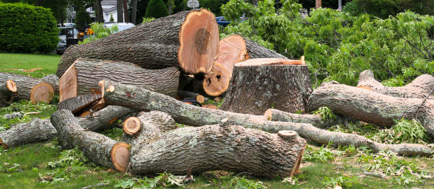 Best Firewood Processing and Delivery  in Richmond Heights, OH